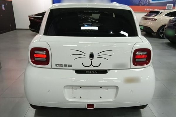 ORA Black Cat 2022, 29100 км, за 6956 USD
