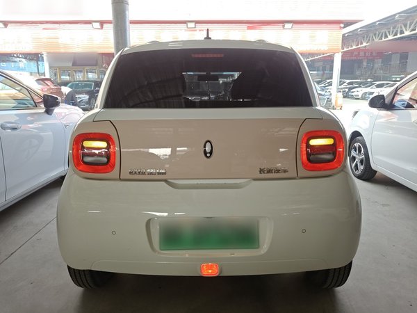 ORA Black Cat 2022, 55300 км, за 7231 USD - фото 9