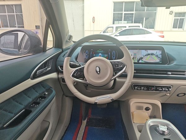 ORA Good Cat 2021, 24700 км, за 10742 USD - фото 11