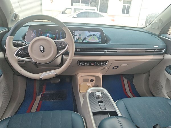 ORA Good Cat 2021, 24700 км, за 10742 USD - фото 10