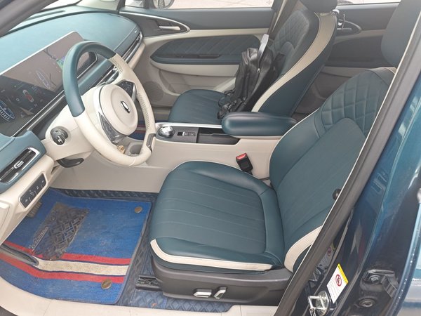 ORA Good Cat 2021, 24700 км, за 10742 USD - фото 16