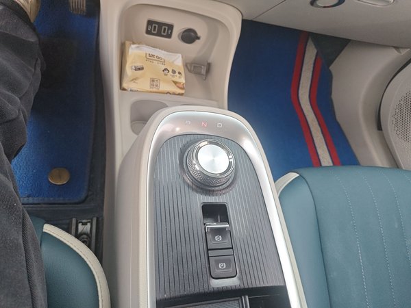 ORA Good Cat 2021, 24700 км, за 10742 USD - фото 15