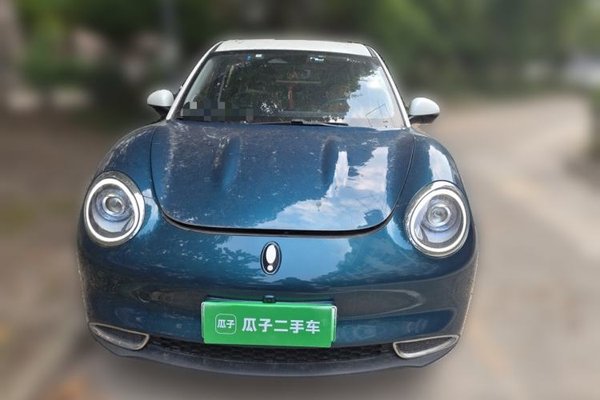 ORA Good Cat 2021, 25200 км, за 7933 USD