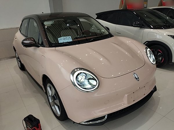 ORA Good Cat 2021, 67700 км, за 9730 USD