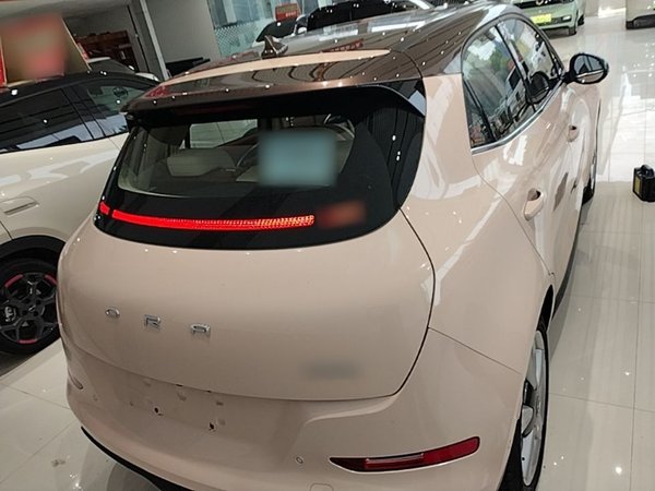 ORA Good Cat 2021, 67700 км, за 9730 USD