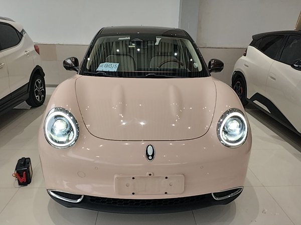 ORA Good Cat 2021, 67700 км, за 9730 USD