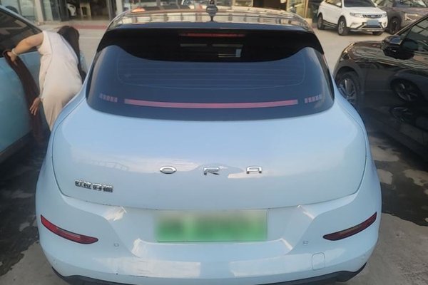 ORA Good Cat 2021, 37600 км, за 10696 USD