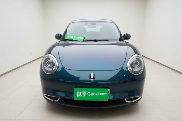 ORA Good Cat 2021, 77500 км, за 9555 USD