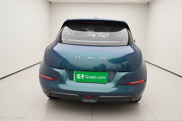ORA Good Cat 2021, 77500 км, за 9555 USD