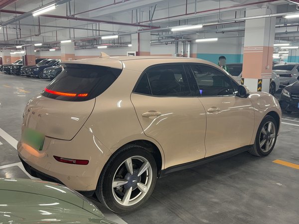 ORA Good Cat 2022, 21900 км, за 10504 USD