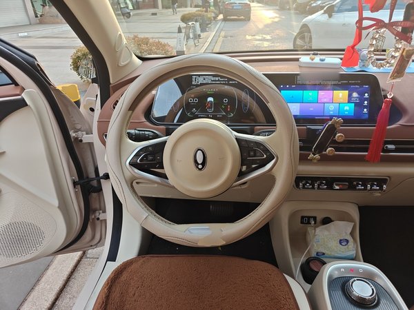 ORA Good Cat 2022, 21900 км, за 10504 USD - фото 11