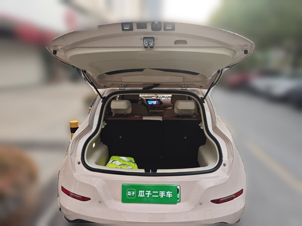 ORA Good Cat 2022, 21900 км, за 10504 USD - фото 16