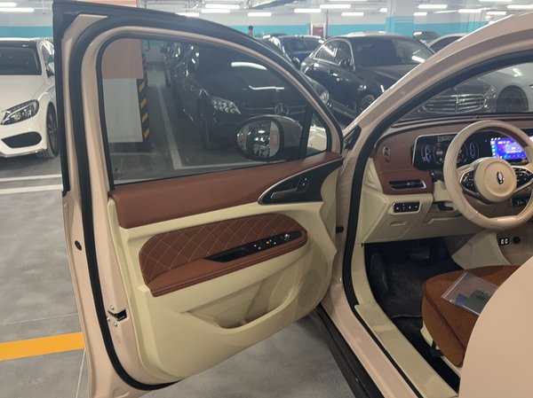 ORA Good Cat 2022, 21900 км, за 10504 USD - фото 8