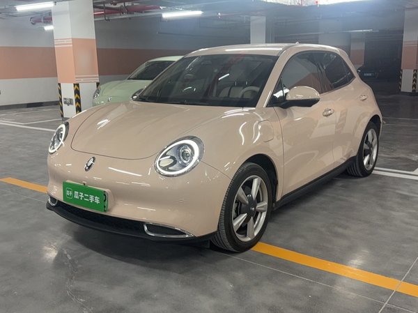 ORA Good Cat 2022, 21900 км, за 10504 USD