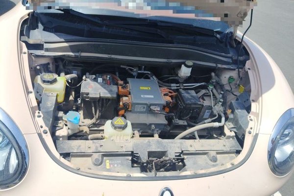 ORA Good Cat 2022, 29000 км, за 11355 USD - фото 21