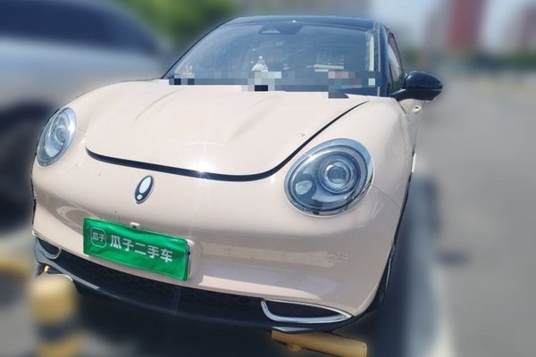 ORA Good Cat 2022, 29000 км, за 11355 USD