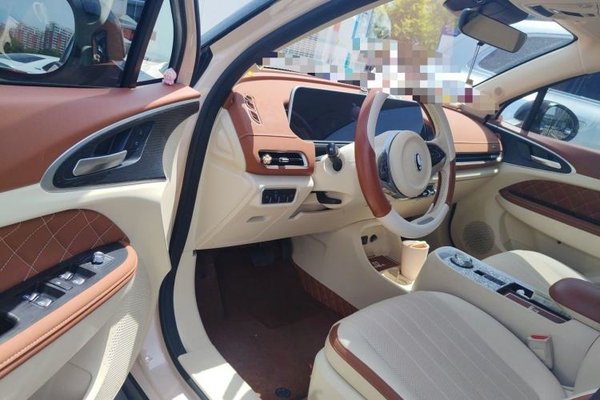 ORA Good Cat 2022, 29000 км, за 11355 USD - фото 19