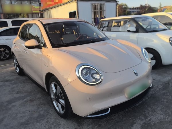 ORA Good Cat 2022, 52600 км, за 10253 USD
