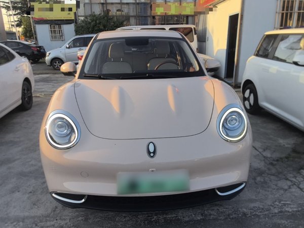ORA Good Cat 2022, 52600 км, за 10253 USD