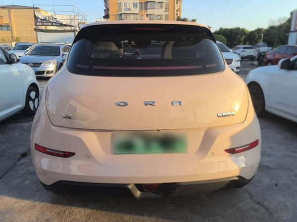 ORA Good Cat 2022, 52600 км, за 10253 USD