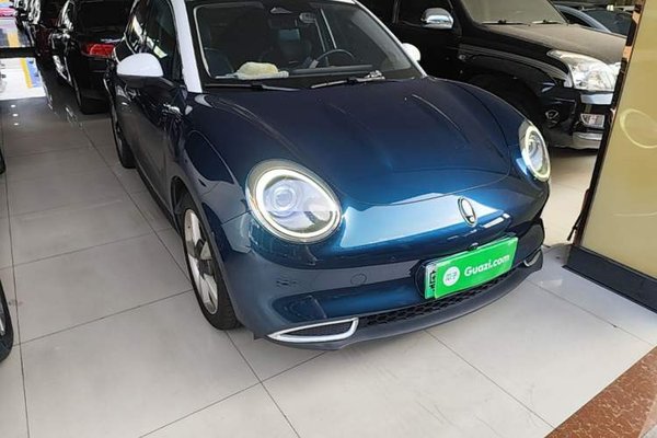 ORA Good Cat 2022, 53000 км, за 10475 USD