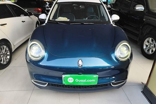 ORA Good Cat 2022, 53000 км, за 10475 USD