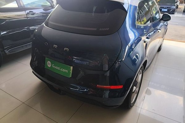 ORA Good Cat 2022, 53000 км, за 10475 USD - фото 6