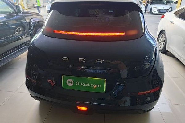 ORA Good Cat 2022, 53000 км, за 10475 USD