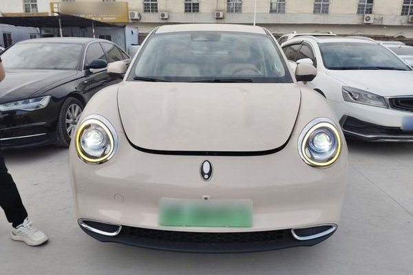 ORA Good Cat 2023, 19100 км, за 11430 USD
