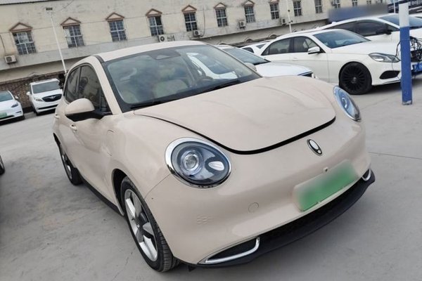 ORA Good Cat 2023, 19100 км, за 11430 USD