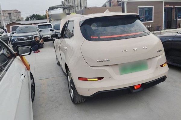 ORA Good Cat 2023, 19100 км, за 11430 USD