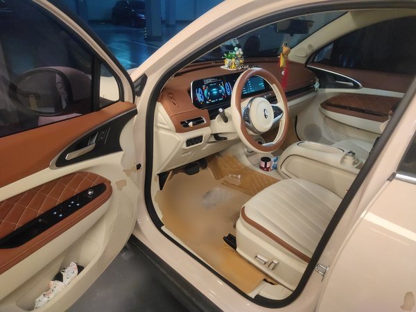 ORA Good Cat 2023, 36900 км, за 12386 USD - фото 17