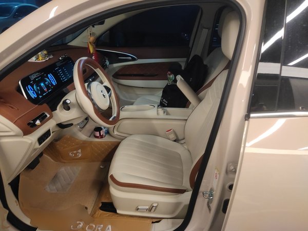 ORA Good Cat 2023, 36900 км, за 12386 USD - фото 16