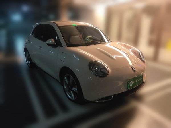 ORA Good Cat 2023, 36900 км, за 12386 USD