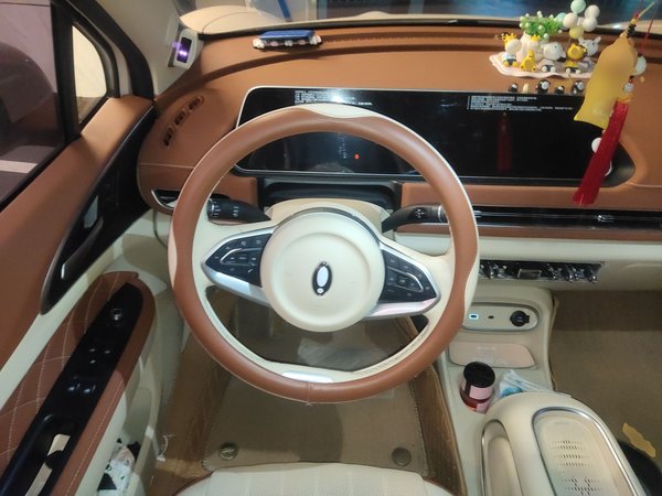 ORA Good Cat 2023, 36900 км, за 12386 USD - фото 11