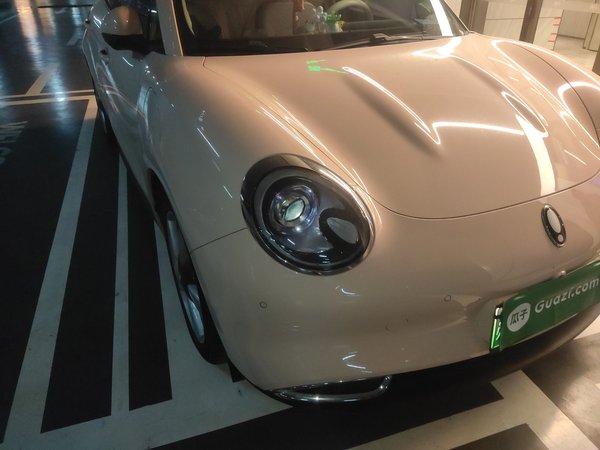 ORA Good Cat 2023, 36900 км, за 12386 USD - фото 7