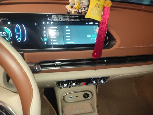 ORA Good Cat 2023, 36900 км, за 12386 USD - фото 14