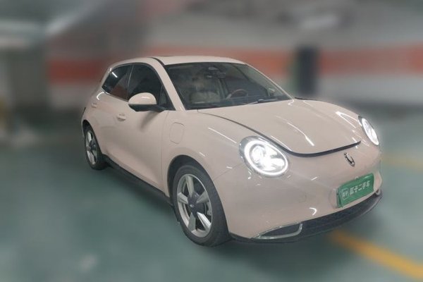 ORA Good Cat 2023, 46300 км, за 11185 USD