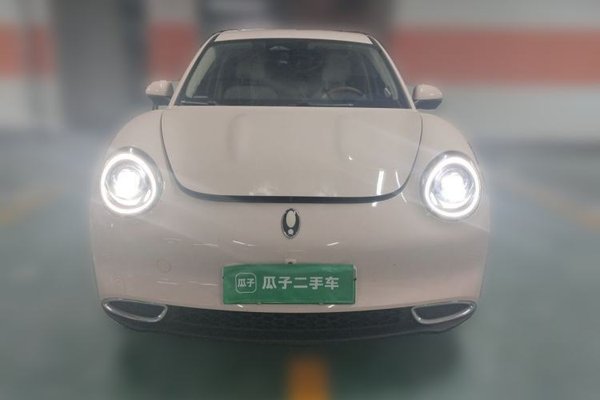 ORA Good Cat 2023, 46300 км, за 11185 USD