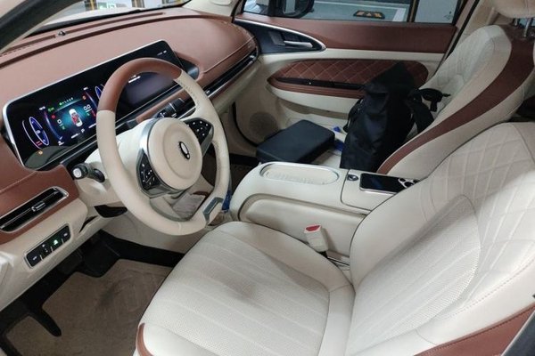 ORA Good Cat 2023, 46300 км, за 11185 USD - фото 15