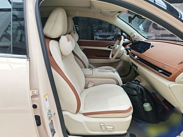 ORA Good Cat 2023, 50500 км, за 11776 USD - фото 9