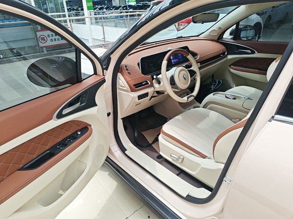 ORA Good Cat 2023, 50500 км, за 11776 USD