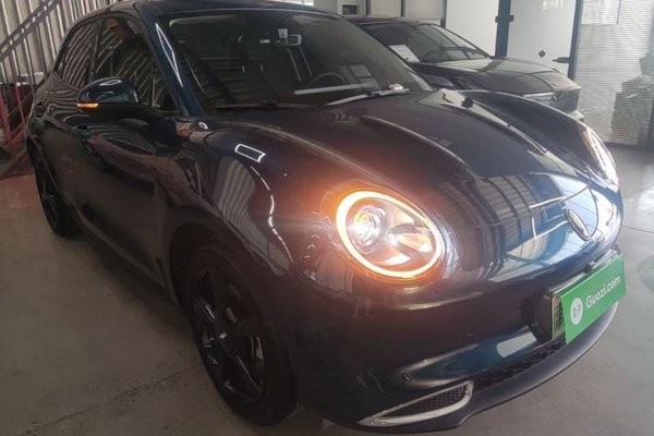 ORA Good Cat 2023, 24100 км, за 11895 USD