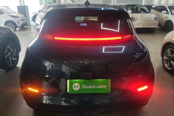 ORA Good Cat 2023, 24100 км, за 11895 USD