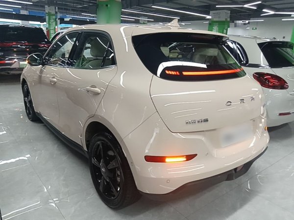 ORA Good Cat 2024, 13799 км, за 14241 USD
