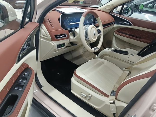 ORA Good Cat 2024, 13799 км, за 14241 USD - фото 19