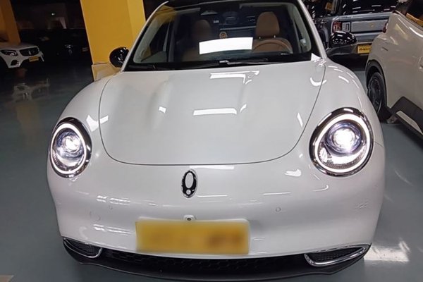 ORA Good Cat 2024, 13900 км, за 13894 USD