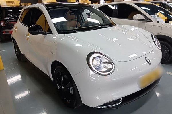 ORA Good Cat 2024, 13900 км, за 13894 USD