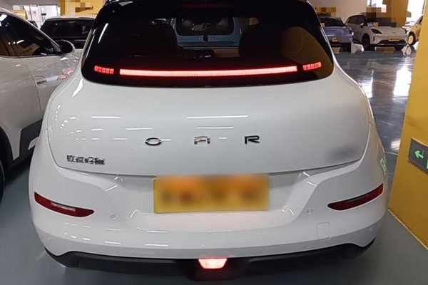 ORA Good Cat 2024, 13900 км, за 13894 USD