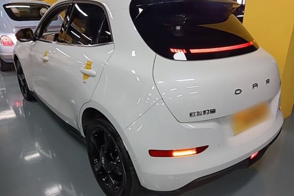 ORA Good Cat 2024, 13900 км, за 13894 USD